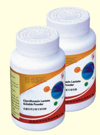 Ciprofloxacin Lactate Soluble Powder